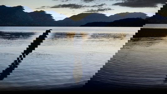 Top of the Lake