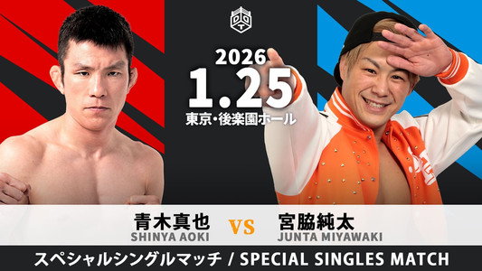 MISSION IN BATTLE ～新春絢爛～