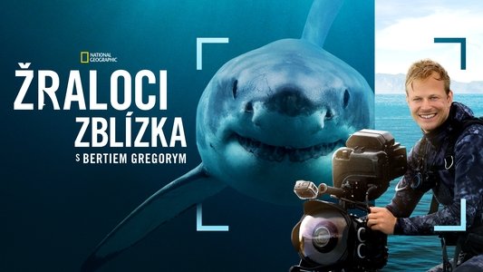 Sharks Up Close with Bertie Gregory