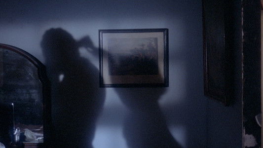 Dixie Ray: Hollywood Star