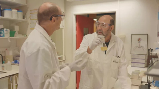 Traquer l'invisible - Nos chercheurs face à la menace mondiale des virus et des bactéries