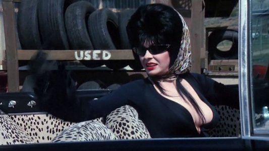 Elvira: Mistress of the Dark