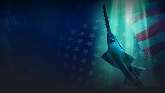 Alien Sharks: Untamed America