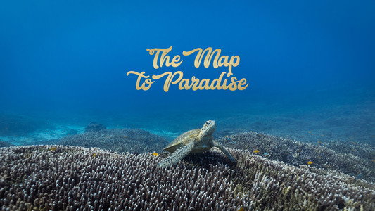 The Map to Paradise