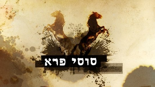 סוסי פרא