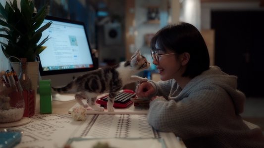 宠爱