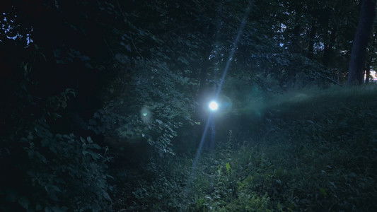 Latvijas Izmeklētāji