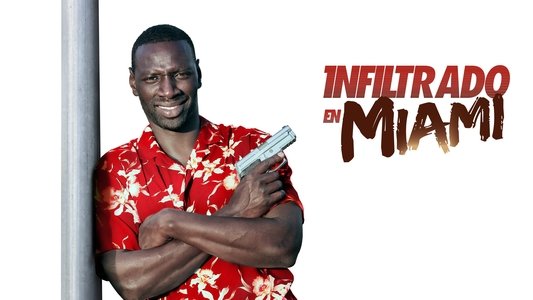 Le Flic de Belleville