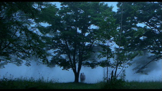 ときめきに死す