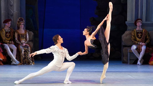 Swan Lake
