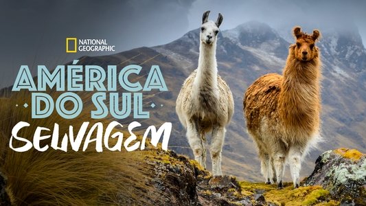 South America Untamed