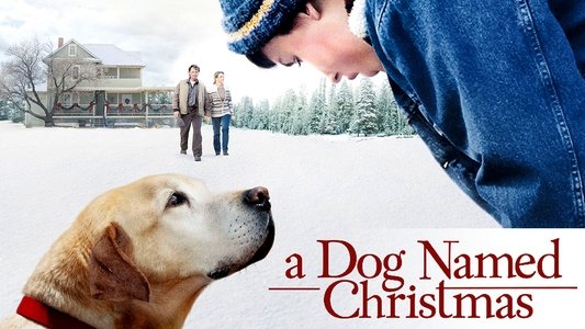 A Dog Named Christmas