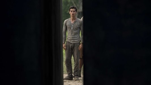 The Maze Runner