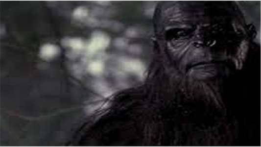 Sasquatch