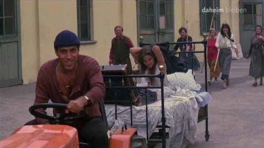 Il bisbetico domato