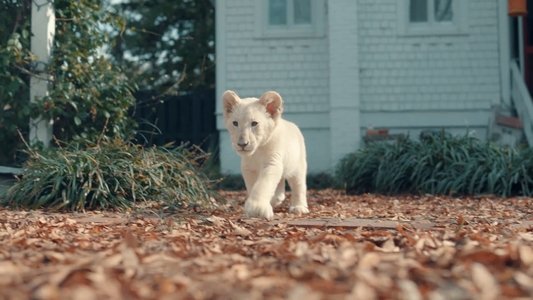 Lena and Snowball