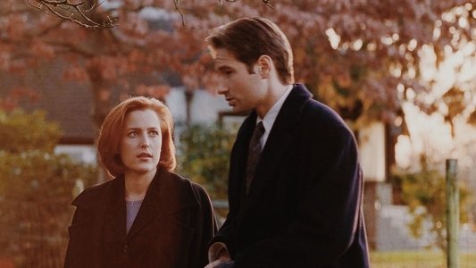 The X-Files