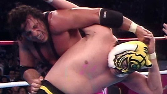 WWF/AJPW/NJPW Wrestling Summit