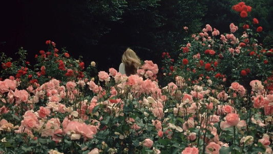 La Faute de l'abbé Mouret