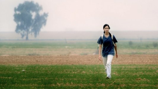 על כלבים ואנשים