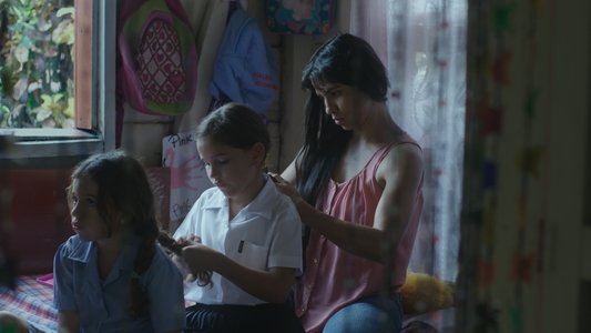 El despertar de las hormigas