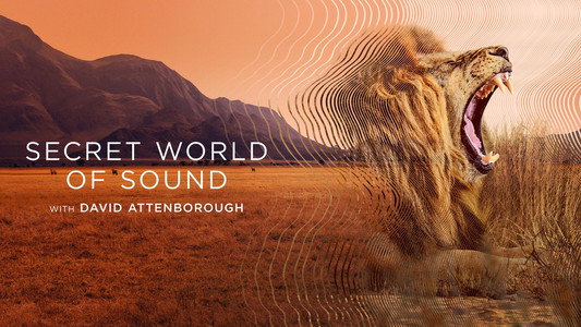 Secret World of Sound