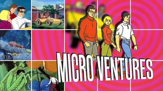 Micro Ventures