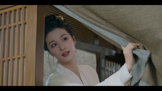 柳舟记