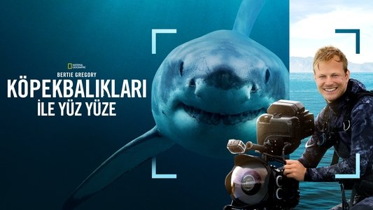 Sharks Up Close with Bertie Gregory