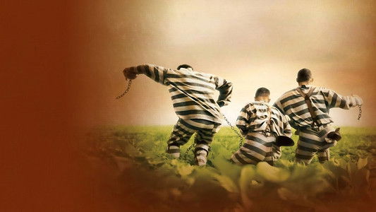 O Brother, Where Art Thou?