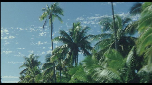 天国にいちばん近い島