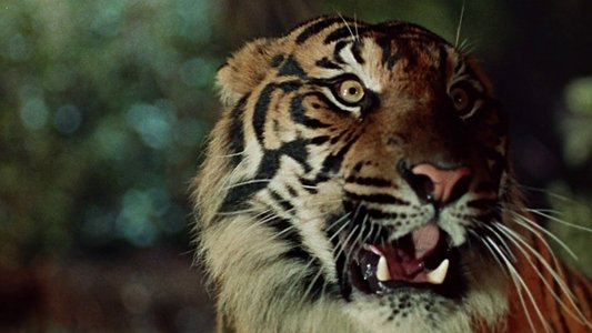 Der Tiger von Eschnapur