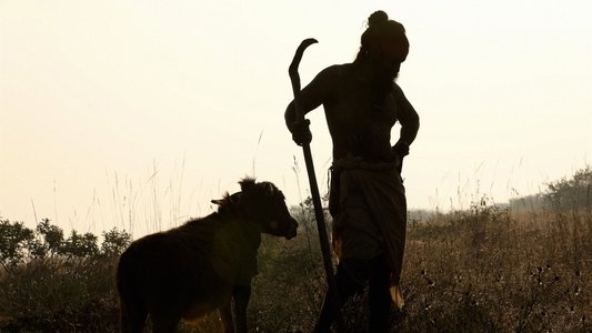 தங்கலான்
