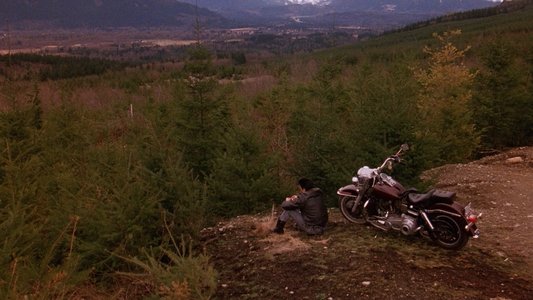 Twin Peaks
