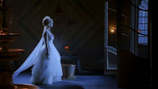 Playboy Video Playmate Calendar 2001