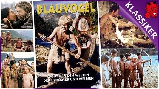 Blauvogel