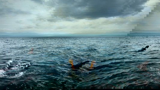 Open Water