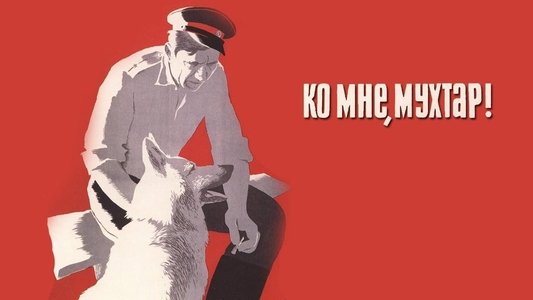 Ко мне, Мухтар!