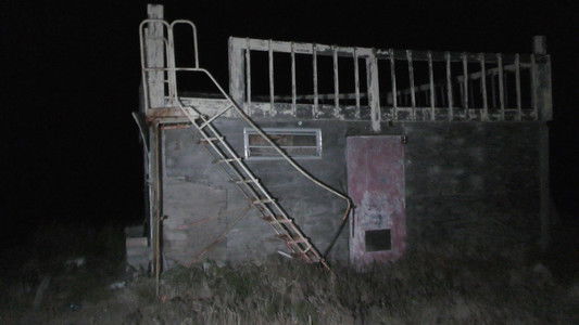 The Wilderness Tapes: Volume One