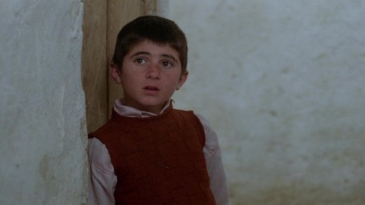 خانه‌ی دوست کجاست؟