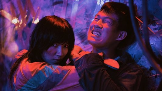 Thanh Sói: Cúc Dại Trong Đêm