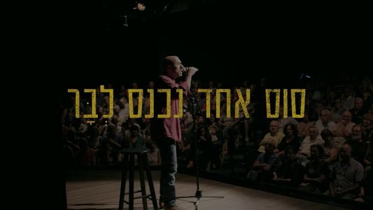 סוס אחד נכנס לבר