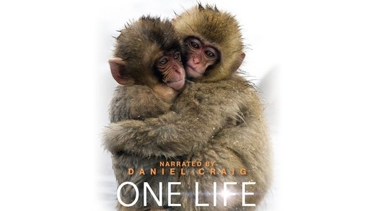 One Life