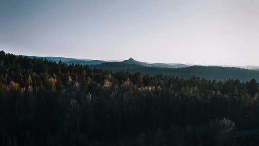 La Découverte de la Chouette d'Or