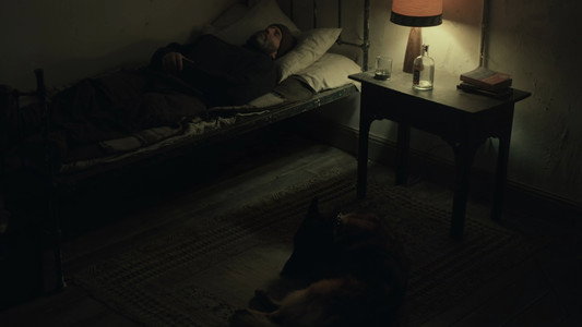 Shelter