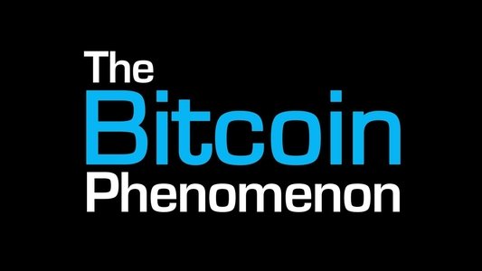 The Bitcoin Phenomenon