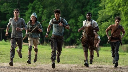 The Maze Runner