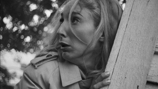 Night of the Living Dead