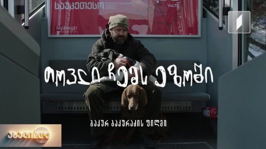 თოვლი ჩემს ეზოში