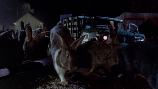 Night of the Lepus